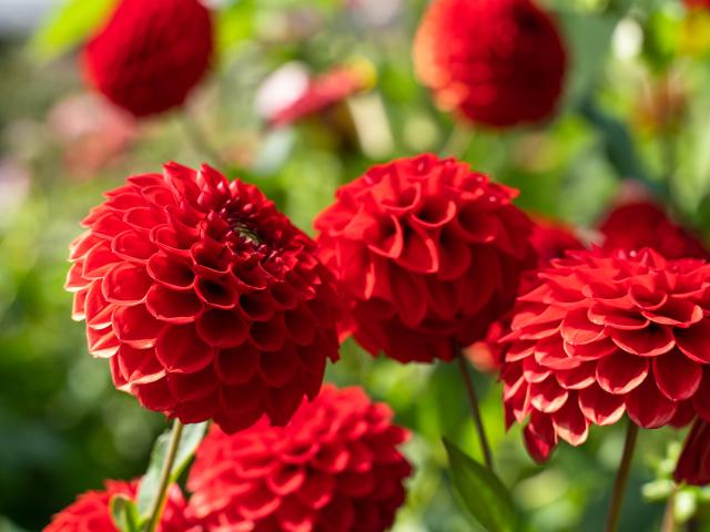 Ambiance / plan rapproché