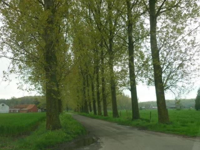 Omgeving (1-5 km)