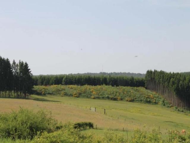 In de regio (>5 km)