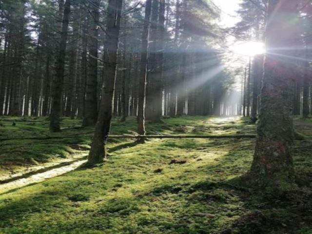 In de regio (>5 km)