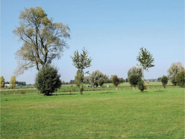 Omgeving (1-5 km)