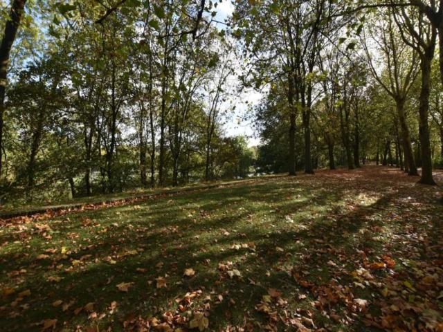 Directe omgeving (<1 km)
