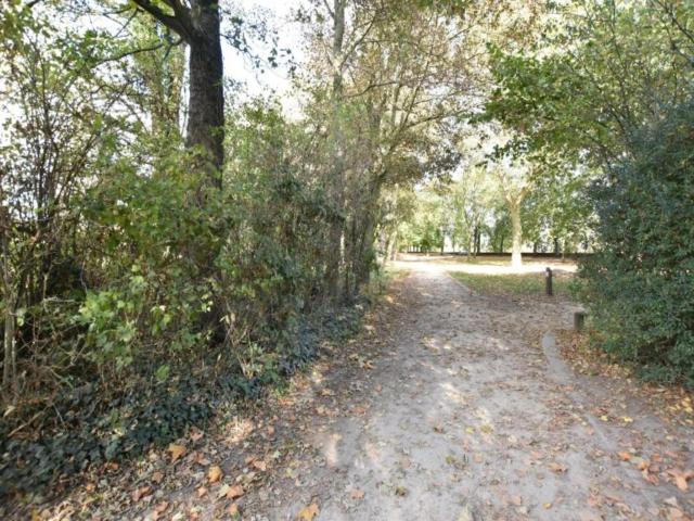 Directe omgeving (<1 km)