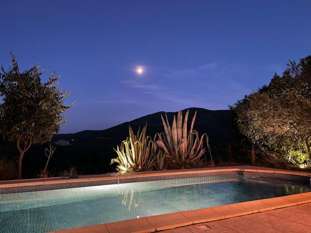 Holiday Home Swimming Pool