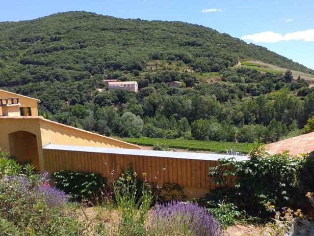 View from Holiday Home
